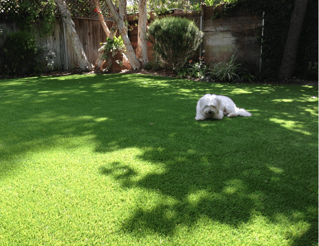 Pet Turf Landscape - Coronado Best Turf, Artificial Grass in San Diego