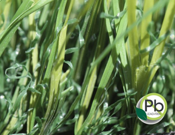 Turf Products - Coronado Best Turf, Artificial Grass Landscapes San Diego Turf Products - Coronado Best Turf, Artificial Grass Landscapes San Diego