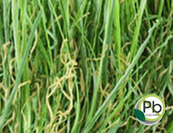 Turf Products - Coronado Best Turf, Artificial Grass Landscapes San Diego Turf Products - Coronado Best Turf, Artificial Grass Landscapes San Diego