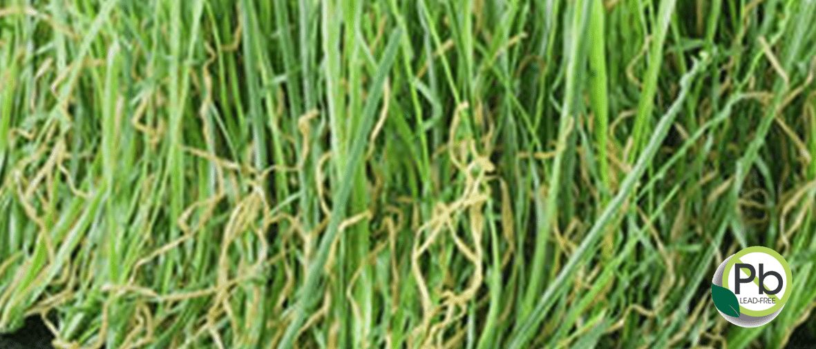 Coronado Sierra 94 Artificial Grass - Coronado Best Turf, San Diego 
