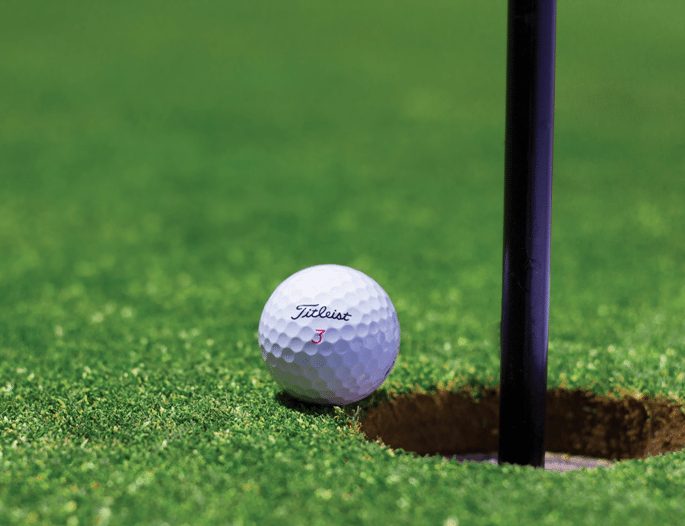 Coronado Best Turf - Artificial Grass Lawns Golf, Play & Pet Landscapes