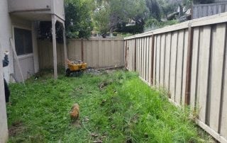 Great Qualities of Artificial Grass - Coronado Best Turf, San Diego (619) 435-5296