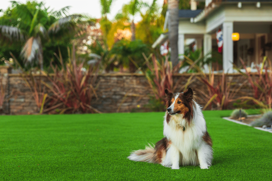 Artificial Grass Installation Coronado, CA - Coronado Best Turf, San Diego