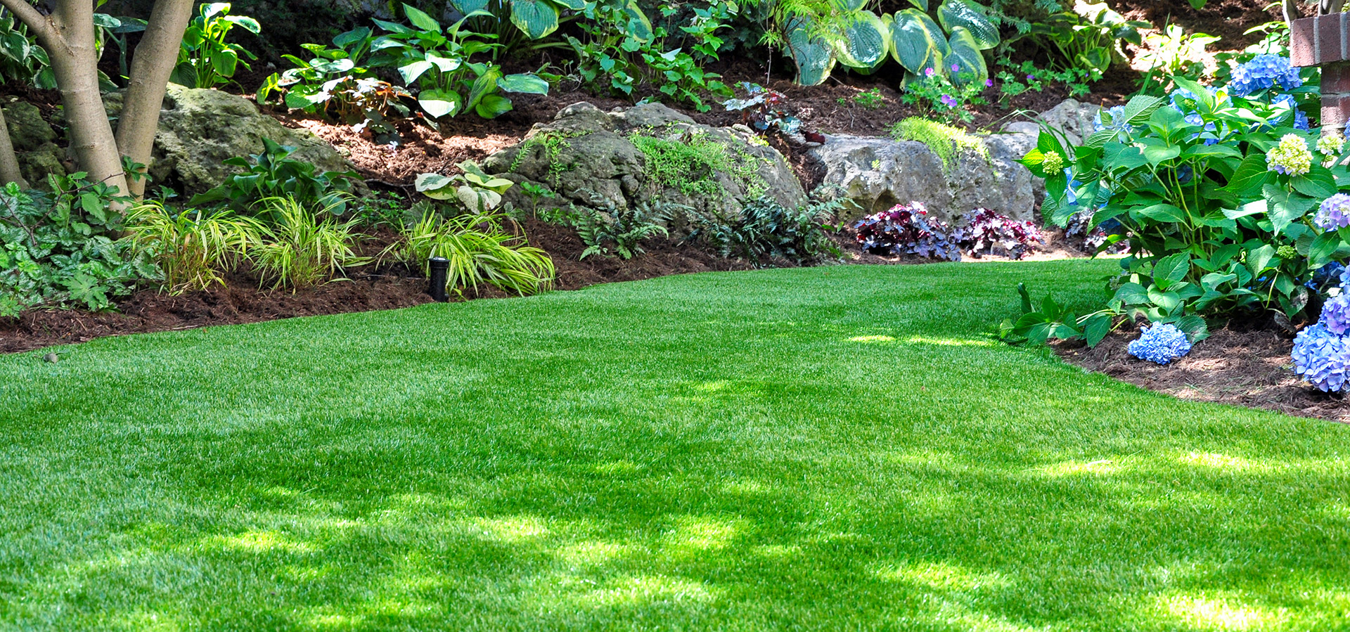 Artificial Grass